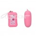 Vibrating Egg Remote Control (Pink 50 Function)